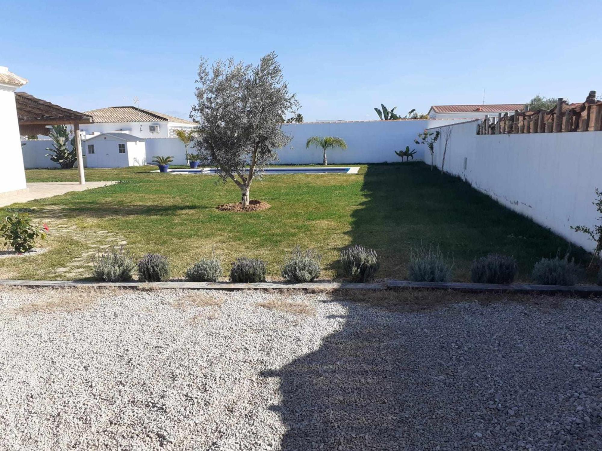 Las Casitas De La Barrosa Con Jardin Y Piscina Chiclana de la Frontera Chambre photo